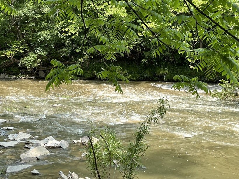A photo of the Little Miami River in Loveland