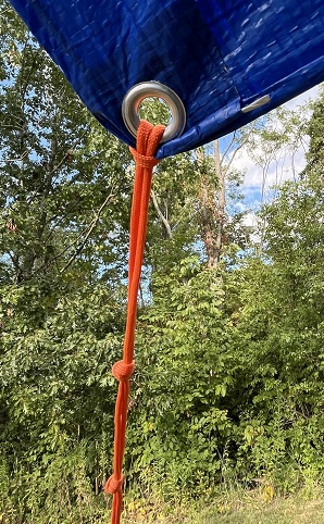 my dollar tree tarp is showing its age