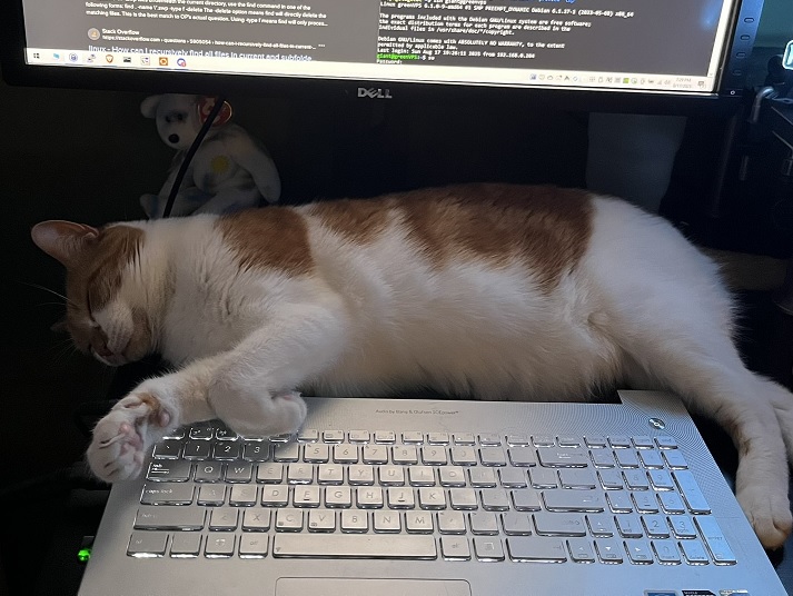 The editor in chief, asleep at the wheel
